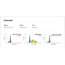 RedSea ReefLED 소금물 수족관용 조명