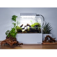 Cunzo Mini Paludarium với Đèn và Bộ Sưởi