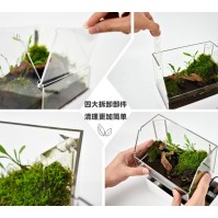 Cunzo Mini-Paludarium mit Beleuchtung und Heizung
