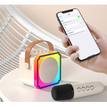 Altoparlante Karaoke Bluetooth P8 RGB con Microfoni Singolo/Doppio – KTV Portatile dalla Cina (Vendita al Dettaglio, Ingrosso e 