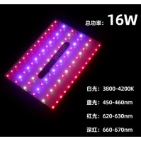 Zetlight E2 / E2 WiFi Lumină LED Refugium pentru Acvarii cu Apă Sărată