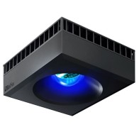 Réveil intelligent Capybara avec veilleuse – Mignon réveil de chevet rechargeable USB de Chine