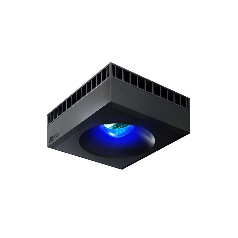 Réveil intelligent Capybara avec veilleuse – Mignon réveil de chevet rechargeable USB de Chine