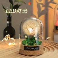 Preserved Dandelion Glass Dome LED Night Light
