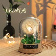 Preserved Dandelion Glass Dome LED Night Light
