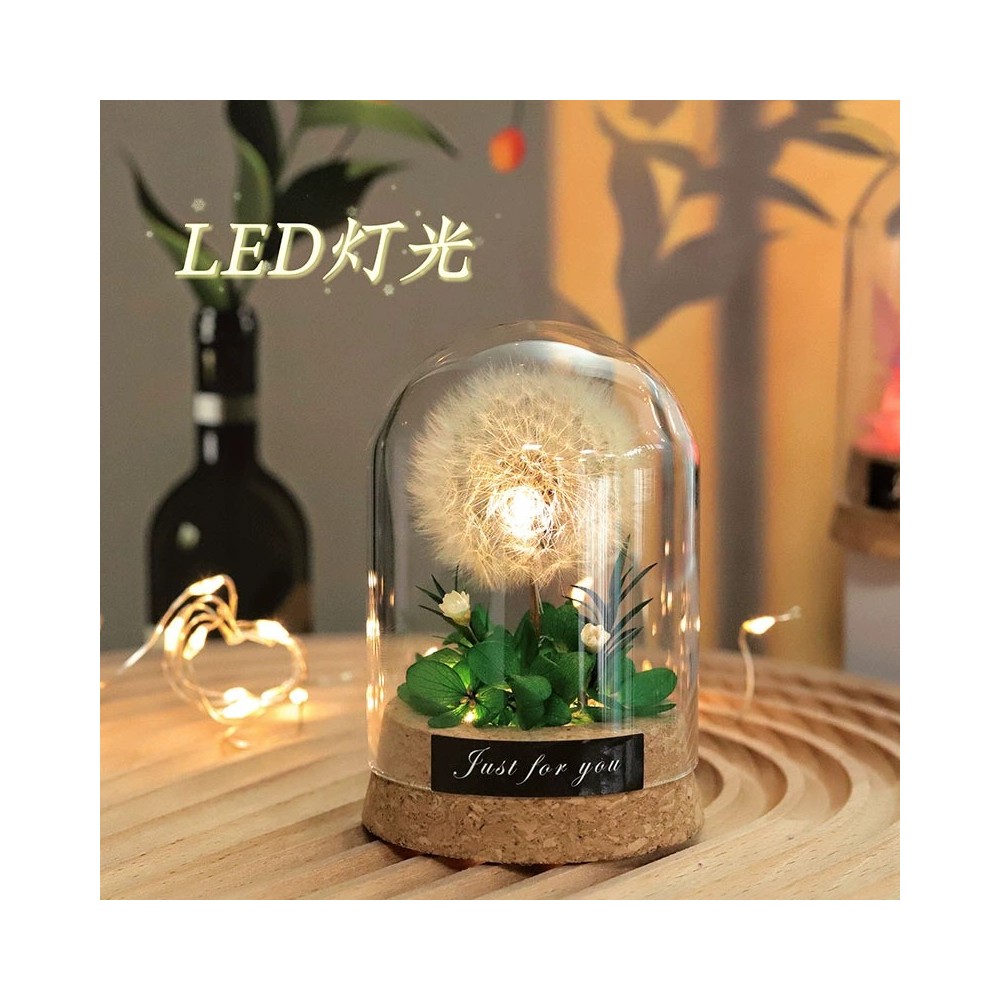 Preserved Dandelion Glass Dome LED Night Light