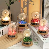 Preserved Dandelion Glass Dome LED Night Light