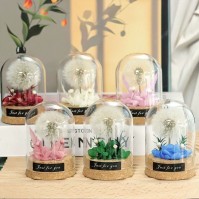 Preserved Dandelion Glass Dome LED Night Light