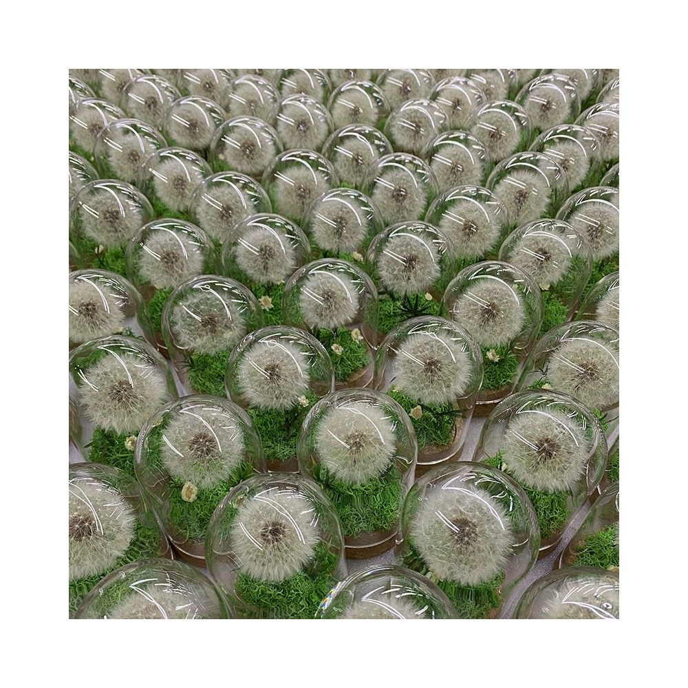 Camion RC Fuoristrada in Lega 4WD 1:16 – Pneumatici ad Alta Aderenza, 2.4GHz, Luci LED