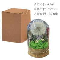 Preserved Dandelion Glass Dome LED Night Light