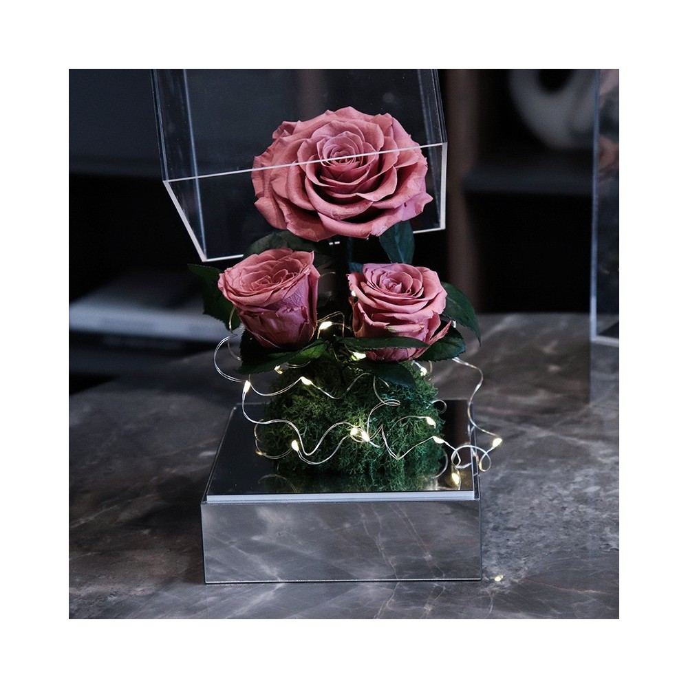 Preserved Rose Trio LED Display under Acrylic Dome, 5 Colors