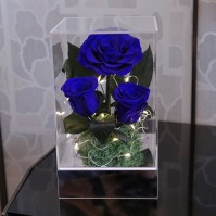 LED Mirror Preserved Rose Dome Gift with Three Roses (5 Colors)