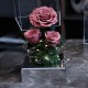 LED Mirror Preserved Rose...