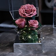 LED Mirror Preserved Rose...