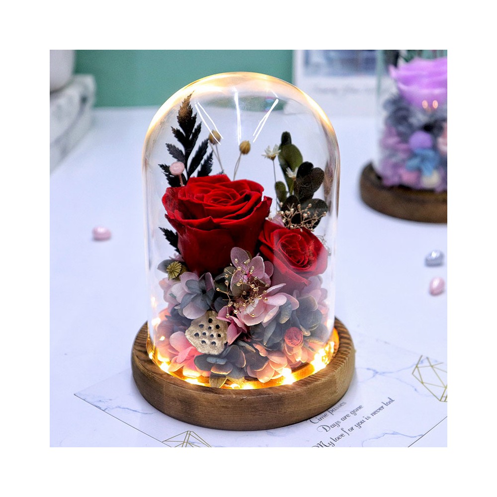 LED Glass Dome Preserved Rose Gift (4 Colors)