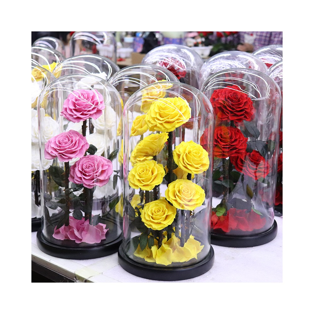 3-Rose Preserved Flower Glass Dome Display