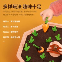 Gioco da tavolo Montessori Carrot Pull con 24 carote colorate