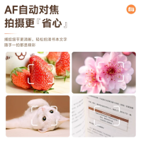 DC403L-AF Kompaktowy aparat cyfrowy z ekranem 2.4-inch