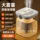Dual Mist Desktop Humidifier
