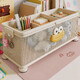 Multifunction Desktop Stationery and Pen Organizer