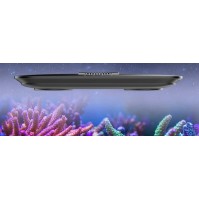 Keloray Lampu LED AR150 untuk Akuarium Terumbu