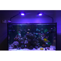 Mo Dian Tuzlu Su Akvaryumları için Vary 8 Tam Spektrum LED Işık