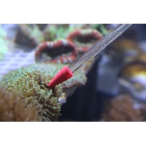 Red Starfish Tubo de Alimentação de Acrílico para Coral