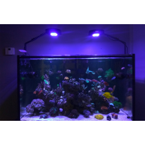Lumină LED pentru Acvariu Recifal AquaNest M8 Spectru Complet