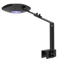 AquaNest M8 Lumière LED Aquarium Récifal Spectre Complet