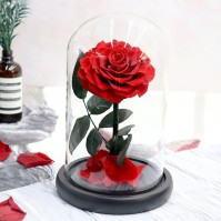 Preserved Rose Glass Dome Display, 22 Color Variants