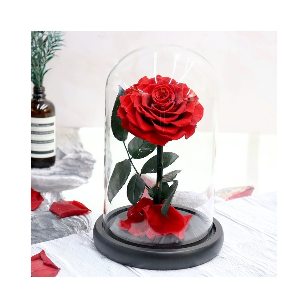 Preserved Rose Glass Dome Display, 22 Color Variants