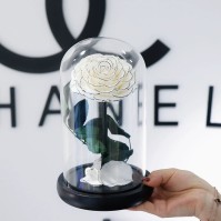 Preserved Rose Glass Dome Display, 22 Color Variants