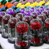 Preserved Rose Glass Dome Display, 22 Color Variants