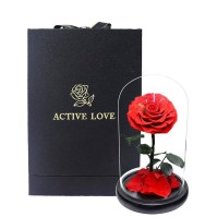 Preserved Rose Glass Dome Display, 22 Color Variants