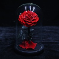 Preserved Rose Glass Dome Display, 22 Color Variants