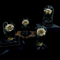 Preserved Rose Glass Dome Display, 22 Color Variants