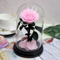 Preserved Rose Glass Dome Display, 22 Color Variants