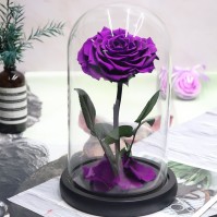 Preserved Rose Glass Dome Display, 22 Color Variants
