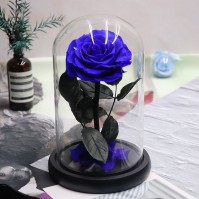 Preserved Rose Glass Dome Display, 22 Color Variants