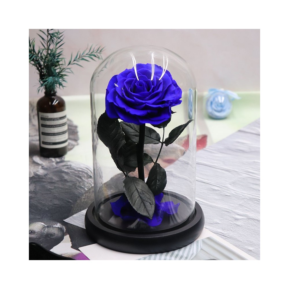 SunSun الیکٹرک ایکویریم گراول کلینر HXS-01 / HXS-01D