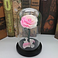 Preserved Rose Glass Dome Display, 22 Color Variants