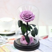 Preserved Rose Glass Dome Display, 22 Color Variants