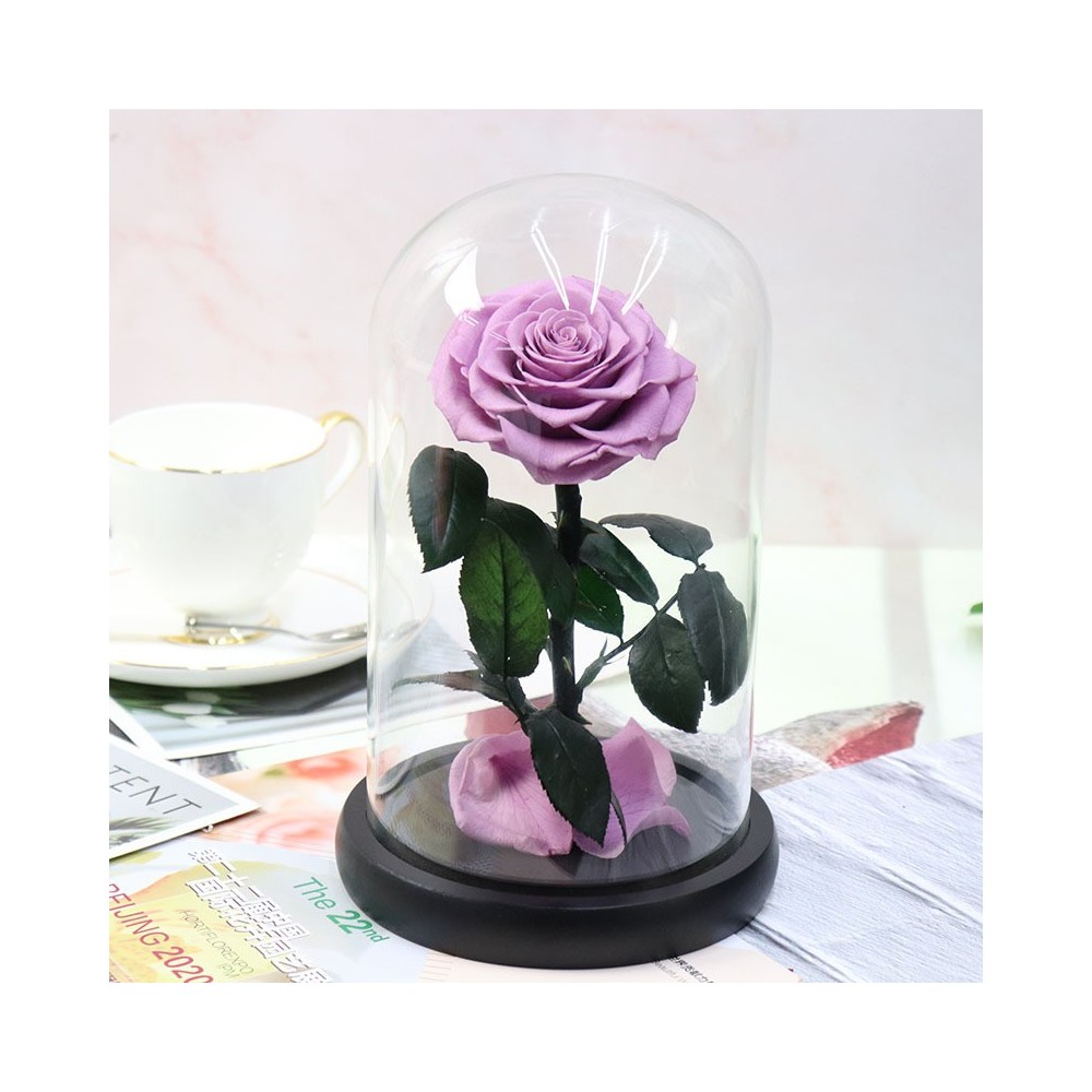 Nanfeng A1 Cyrex 2 in 1 산호초 및 식물 수족관 LED 조명, 관절식 사이드 클러스터 포함