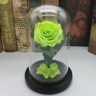 Preserved Rose Glass Dome Display, 22 Color Variants