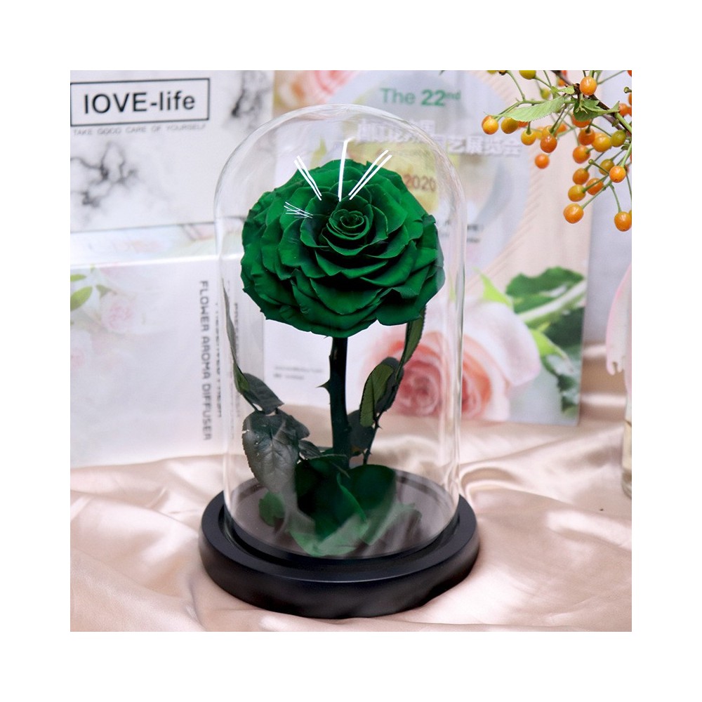 Aqua Excel 아쿠아리움용 물 보충 버킷