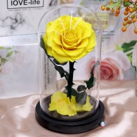 Preserved Rose Glass Dome Display, 22 Color Variants