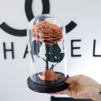 Preserved Rose Glass Dome Display, 22 Color Variants