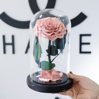 Aqua Excel Nano 50 / Nano 70 Mini Protein Skimmer untuk Akuarium Terumbu