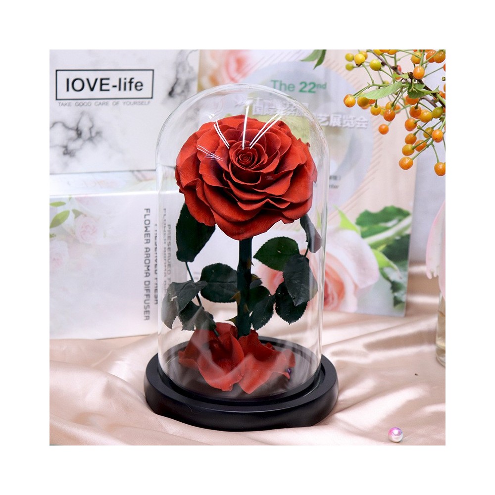 Aqua Excel ন্যানো ৫০ / ন্যানো ৭০ মিনি প্রোটিন স্কিমার ফর রীফ অ্যাকোয়ারিয়ামস