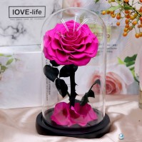 Preserved Rose Glass Dome Display, 22 Color Variants
